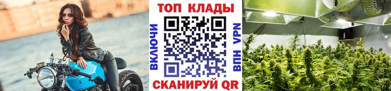 Магазины продажи наркотиков Новосокольники ГАШ Каннабис COCAIN АМФ МЕФ