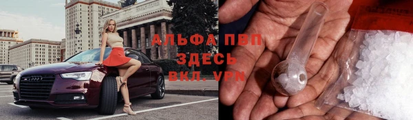 сатива Бронницы