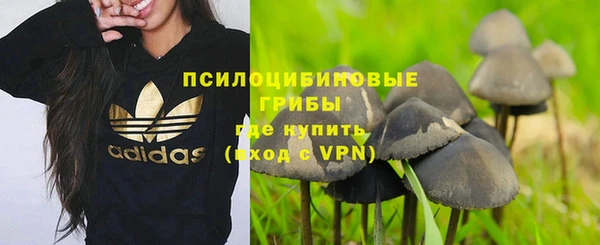твердый Бугульма