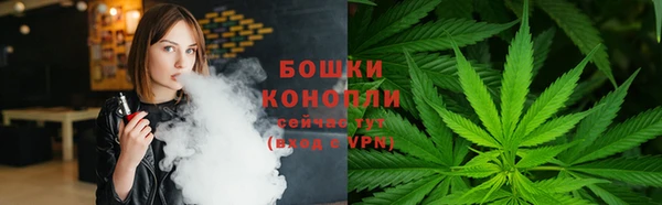 сатива Бронницы