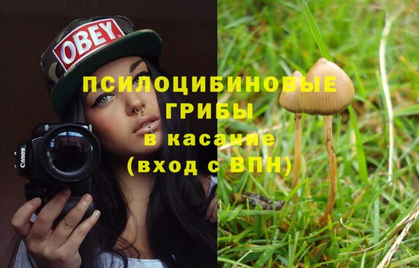 сатива Бронницы
