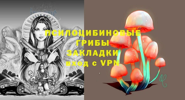 сатива Бронницы
